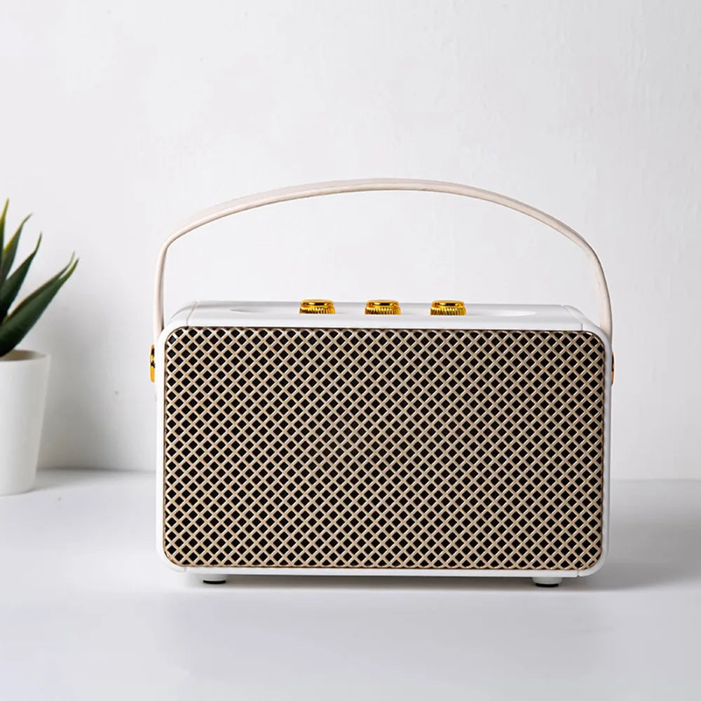 Professional Portable Wireless Speakers with Handle Grip TF FM Radio Bluetooth Speakers Vintage USB Stereo Speaker