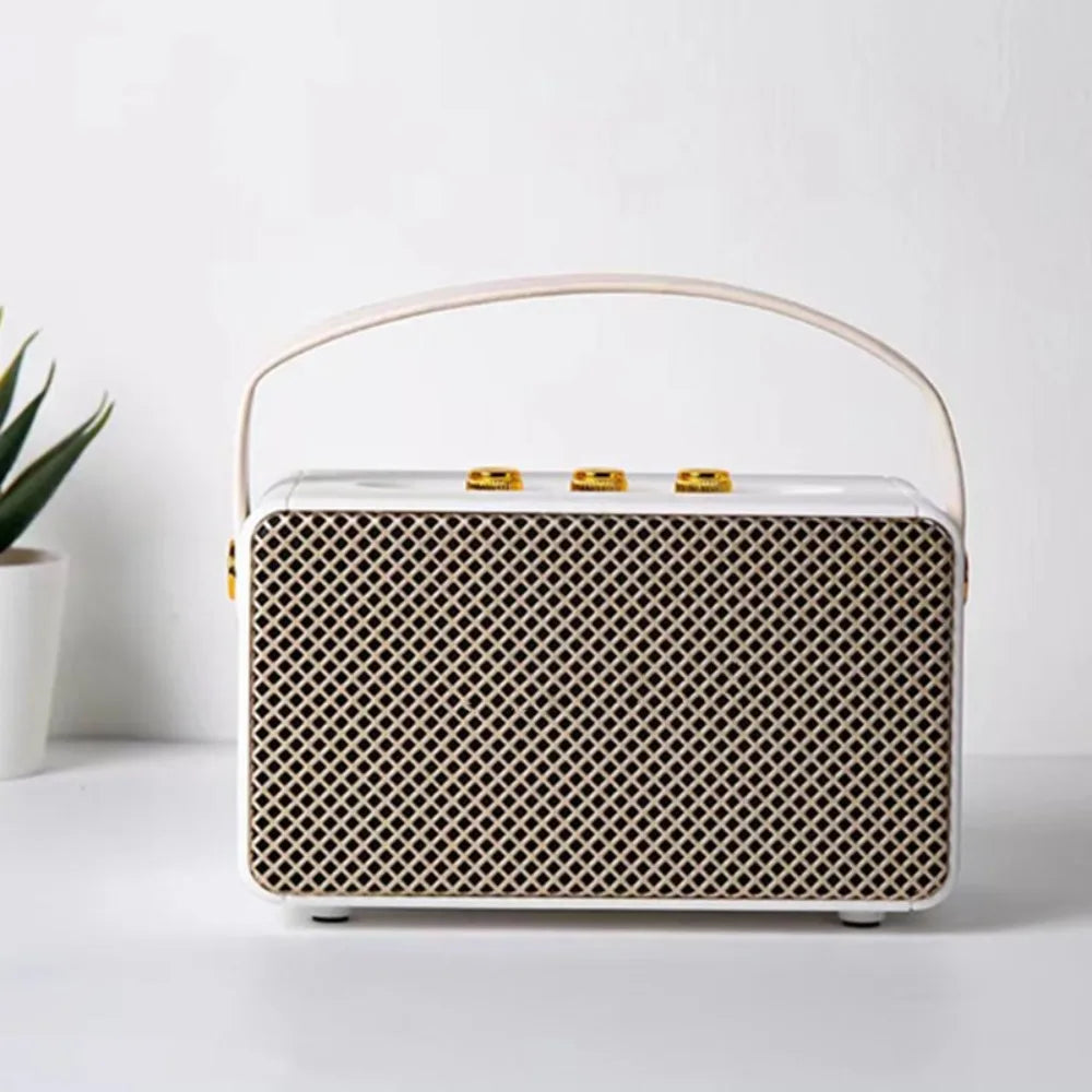 Professional Portable Wireless Speakers with Handle Grip TF FM Radio Bluetooth Speakers Vintage USB Stereo Speaker